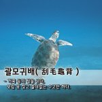 괄모귀배刮毛龜背 - 거북 등의 털을 긁다, <b>보람</b> 못 찾고 쓸데없는 수고만...