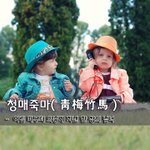 [좋은글] 청매죽마靑梅竹馬 - 어릴 때부터 의좋게 지낸 한 쌍의 <b>남녀</b>