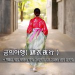 - 비단옷 입고 밤길을 가다, <b>고생</b>하고서도 보람을 찾지 못하다.