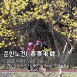 [좋은글] 춘한노건春寒老健 - 봄철의 <b>추위</b>와 노인의 건강, 오래 가지...