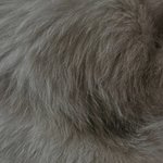 사진 찍을때 <b>플래시</b> ㅈㄴ 중요하구나