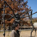 정은채, 김충재와 가을 데이트? <b>숏컷</b>→단발로 더 우아해진 옥경왕자