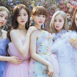 [모두드루와] 걸그룹 우아 사실상<b>해체</b> 준비하네 ㅋㅋㅋㅋ