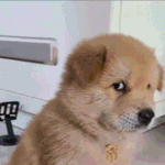 아