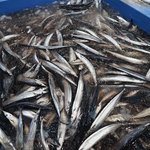 [좋은글] [좋은글] 뇌졸중에 좋은 음식 4가지