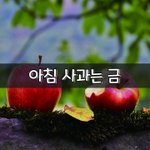 [좋은글] [좋은글] <b>아침</b> 사과는 금
