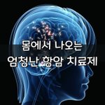 [좋은글] [좋은글] 몸에서 나오는 엄청난 항암 치료제