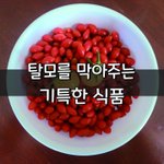 [좋은글] [좋은글] 탈모를 막아주는 기특한 식품