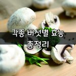 [좋은글] [좋은글] <b>각종</b> 버섯별 효능 총정리