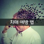 [좋은글] [좋은글] 치매 예방 법