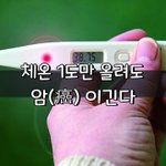 [좋은글] [좋은글] <b>체온</b> 1도만 올려도 암癌 이긴다