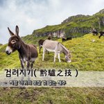 [좋은글] [좋은글] 검려지기黔驢之技 - 지방 나귀의 보잘 것 없는...