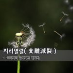 [좋은글] [좋은글] <b>지리</b>멸렬支離滅裂 - 이리저리 흩어지고 찢기다...