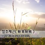 [좋은글] 참초제근斬草除根 - 풀을 베고 그 <b>뿌리</b>를 뽑아 버리다.
