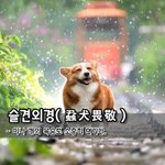[좋은글] 슬견외경蝨犬畏敬 - 이나 개의 <b>목숨</b>도 소중히 여기다.