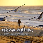 [좋은글] 해옹호구海翁好鷗 - 바닷가 <b>노인</b>이 갈매기를 좋아하다.