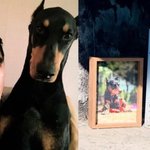 증후군 배정남, 지독한 그리움 “우리딸 푹쉬래이” 49<b>제도</b> 정성껏