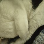 <b>어우</b>