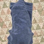 [고양이] 곰이와 여우~