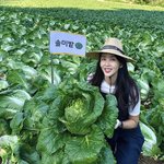 박솔미, 농사 대박났다..사람만한 거대 <b>배추</b> 실화야?