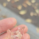 [어케생각해] 이거 커피 얼음인데.. <b>기포</b>일까요?사진