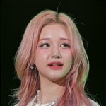 나는 모든 여자 아이돌이 <b>분홍색</b> 머리로 바꿨으면 좋겠어