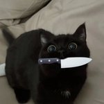 일단 뉴진스2인3인 확실하게<b>사이</b>안좋겠지?지금?