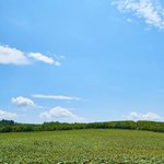 [좋은글] [좋은글] 인생을 변화시키는 법칙 20계