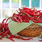 [좋은글] [좋은글] 한국인 장수음식 7가지