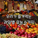 [좋은글] [좋은글] 우리가 즐겨먹는 과일별 효능 6가지