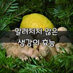 [좋은글] [좋은글] 알려<b>지지</b> 않은 생강의 효능