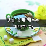 [좋은글] [좋은글] 병을 낫게 해주는 기막힌 차