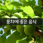[좋은글] [좋은글] 풍치에 좋은 음식
