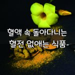 [좋은글] [좋은글] 혈액 속 돌아다니는 혈전피떡 없애는 식품