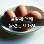 [좋은글] [좋은글] <b>달걀</b>에 대해 몰랐던 4가지