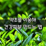 [좋은글] [좋은글] 약초를 <b>이용</b>해 건강피부 만드는 법