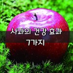 [좋은글] [좋은글] 사과의 건강 효과 7가지