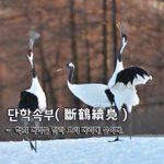 [좋은글] 단학속부斷鶴續鳧 - 학의 <b>다리</b>를 잘라 오리 <b>다리</b>에 붙이다.