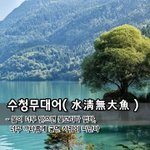 수청무대어水淸無大魚 - 물이 너무 맑으면 <b>물고기</b>가 없다, 너무 까다롭게...