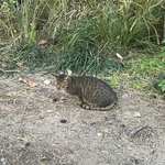 고삼 오늘 개야무지게 혼놀함