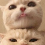 허우적