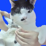 <b>나의</b>