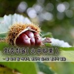 화중취율火中取栗 - 불 속의 밤 꺼내기, 헛되이 힘쓰고 <b>결과</b>가 없음