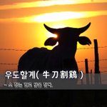 [좋은글] [좋은글] 우도할계牛刀割鷄 - 소 잡는 칼로 닭을 <b>잡다</b>.