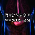 [좋은글] [좋은글] 먹기만 해도 위가 튼튼해지는 음식