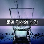 [좋은글] [좋은글] 물과 당신의 심장