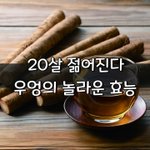[좋은글] [좋은글] ◇ 20살 젊어<b>진다</b>, 우엉의 놀라운 효능 10가지