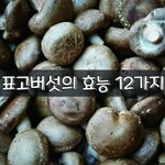 [좋은글] [좋은글] 표고<b>버섯</b>의 효능 12가지