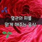 [좋은글] [좋은글] 혈관의 피를 맑게 해주는 음식