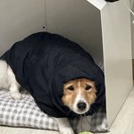 [하고싶은말] <b>춥다</b>